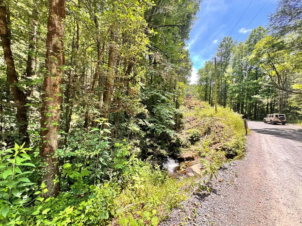 0 Grassy Mountain Road, Ellijay, GA 30540 - #1
