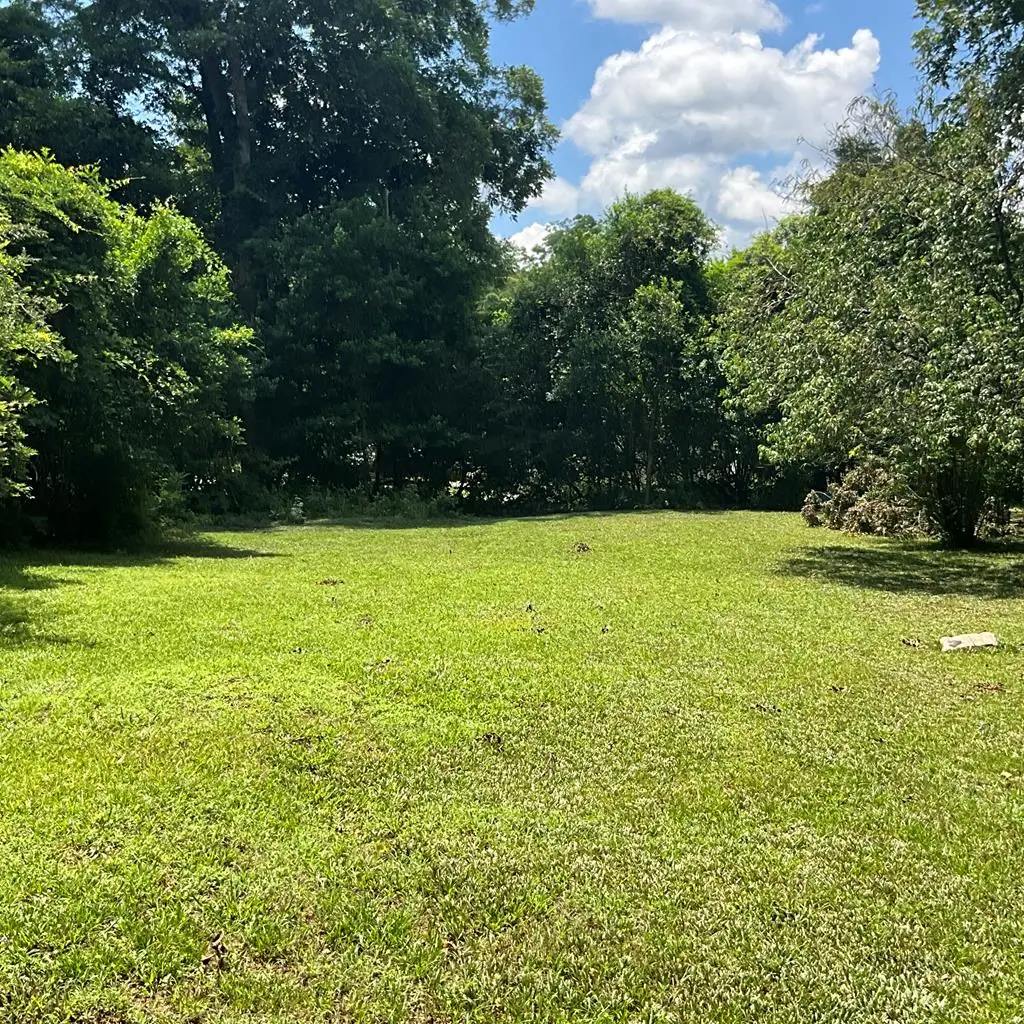 216 Humber Avenue, Lumpkin, GA 31815 - #1