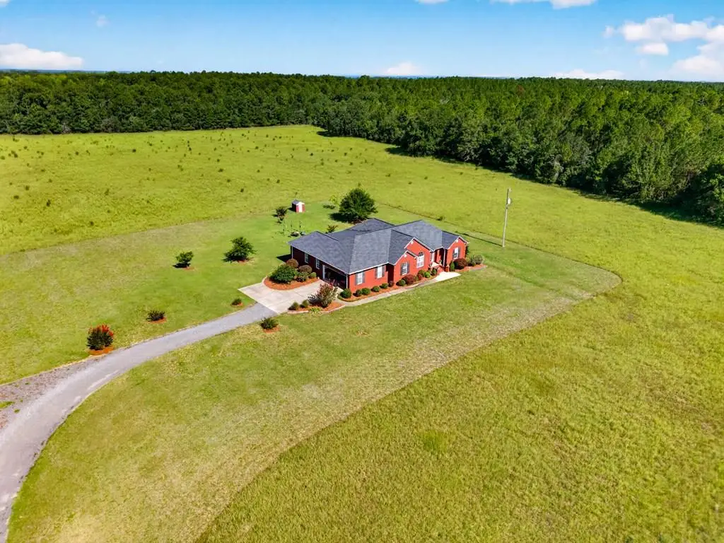 481 & 494 Sand Pit Road, Mauk, GA 31058 - #1