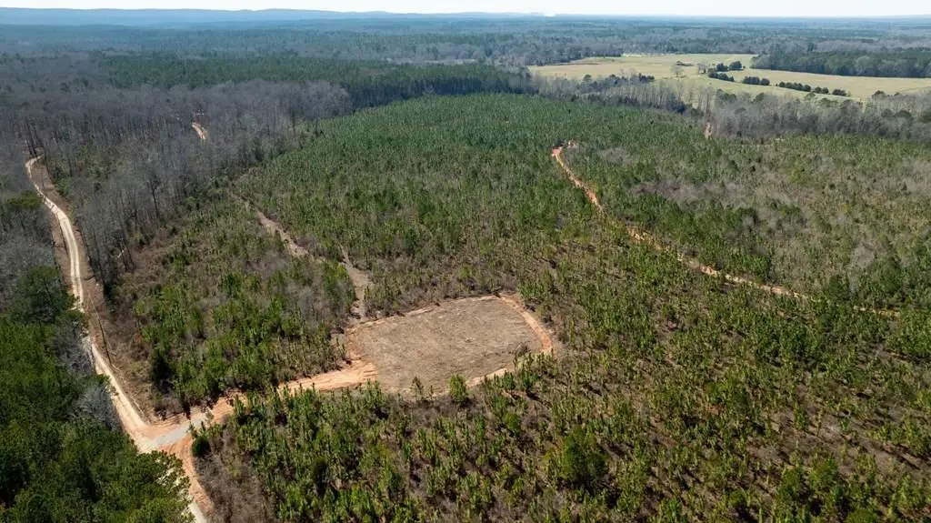 0 (Lot 3B) Highway 0018, Pine Mountain, GA 31822 - #1