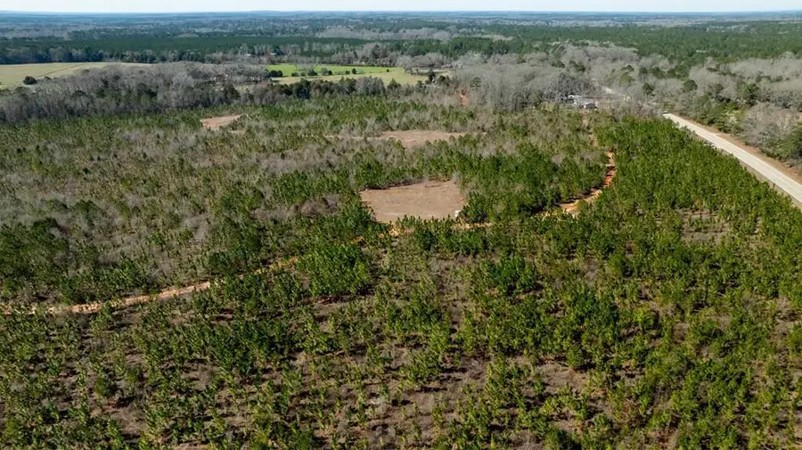 0 (Lot 3B) Highway 0018, Pine Mountain, GA 31822 - #2