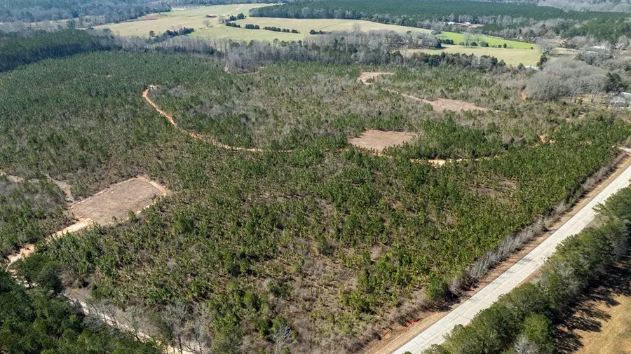 0 (Lot 3B) Highway 0018, Pine Mountain, GA 31822 - #3