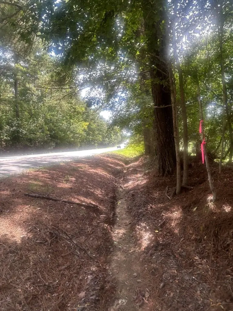 999 Highway 0315 East, Waverly Hall, GA 31831 - #3