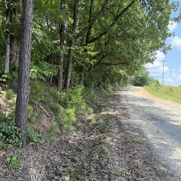 80.61 acres Howard Neal Road, JUNCTION CITY, GA 31812