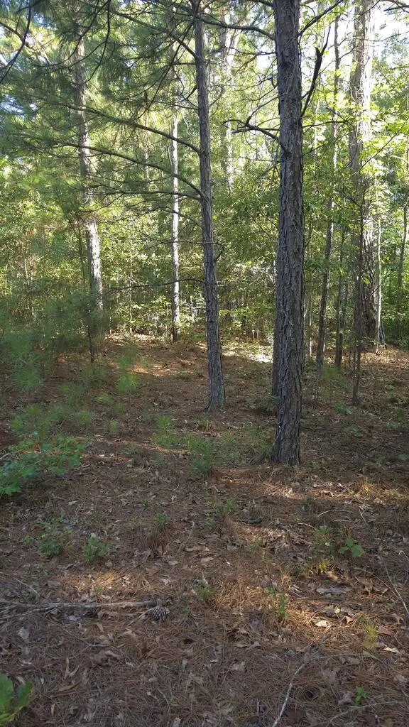 0000 Salem Road #15.6A, Pine Mountain, GA 31822 - #2