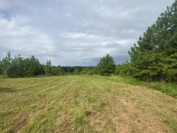 437 Acres Brown Creek Road, SHILOH, GA 31826