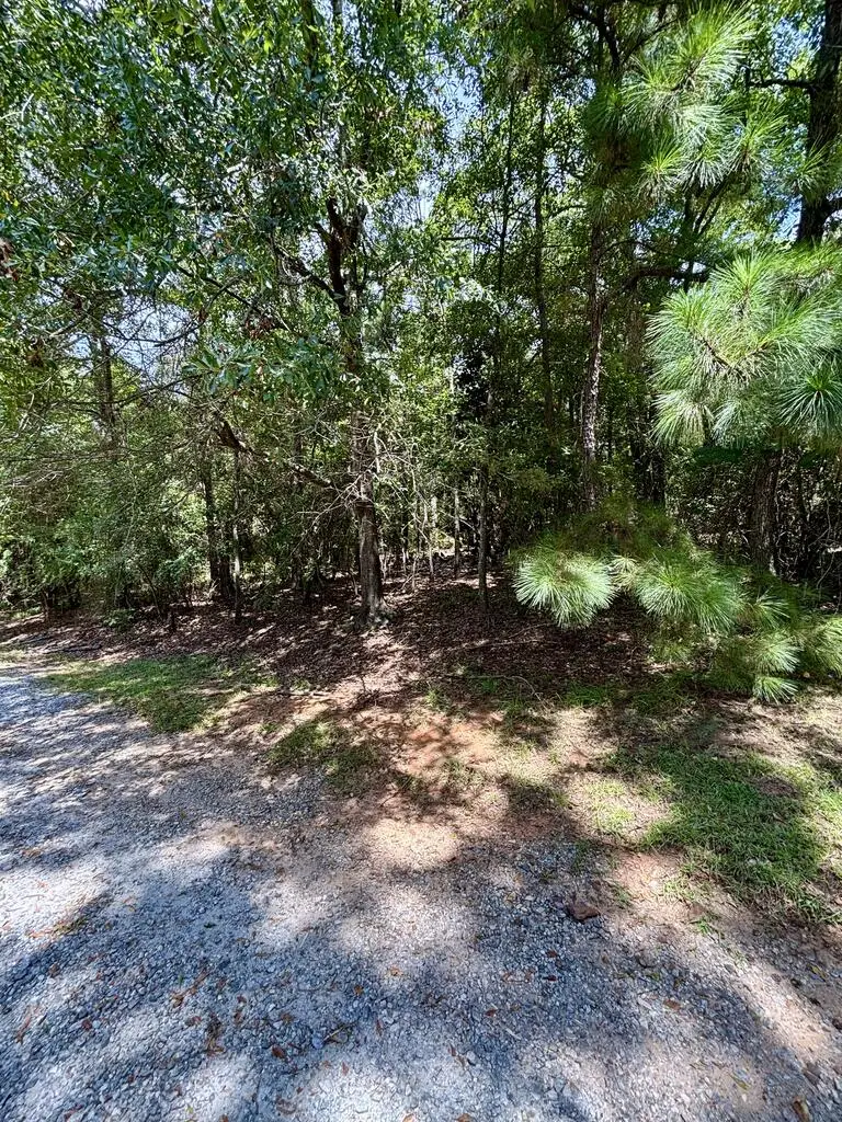 4521 Ottawa Street, Columbus, GA 31907 - #1