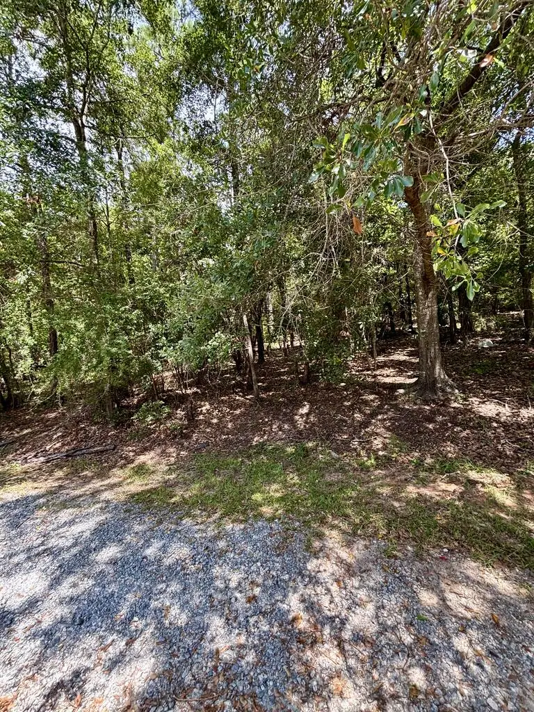 4521 Ottawa Street, Columbus, GA 31907 - #2
