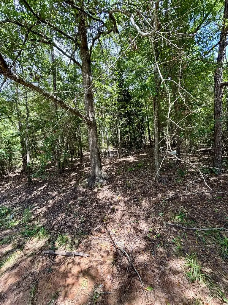 4521 Ottawa Street, Columbus, GA 31907 - #3