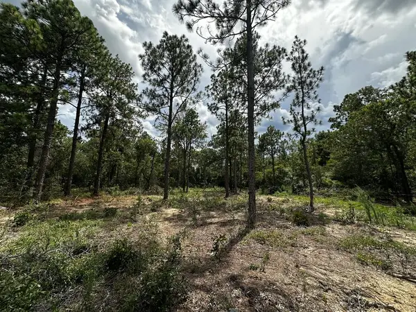 0 Highway 0041, BOX SPRINGS, GA 31801