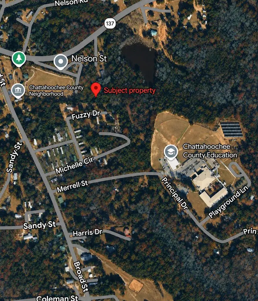 120 Nelson Street, Cusseta, GA 31805 - #1
