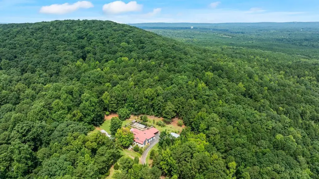 460 Roger Copeland Road, Hamilton, GA 31811 - #1