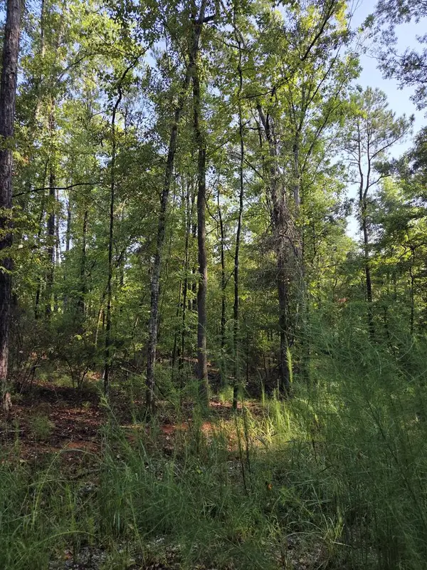 3982 Essex Heights Court, FORTSON, GA 31808
