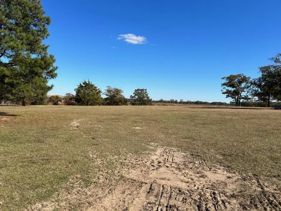 120 Junction City Road, Mauk, GA 31508 - #2