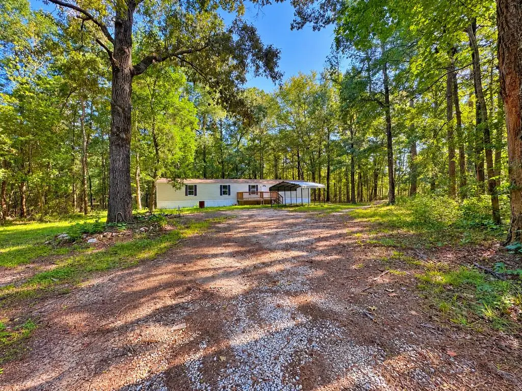 624 Lee Road 0246, Salem, AL 36874 - #1