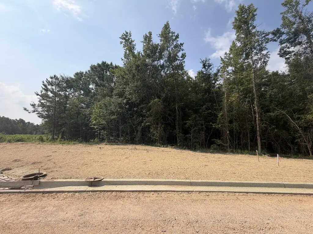 Lot 11 Honeydo Court, Smiths Station, AL 36877 - #1