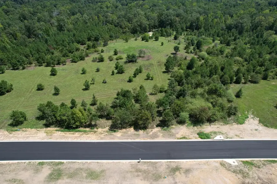 Lot 5 Homestead Lane, Smiths Station, AL 36877 - #2