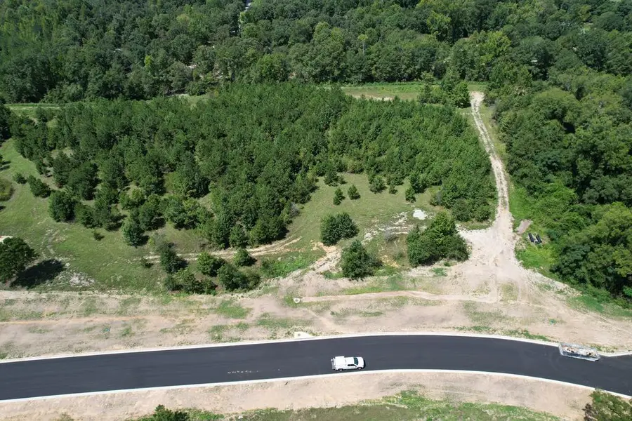 Lot 21 Homestead Lane, Smiths Station, AL 36877 - #3