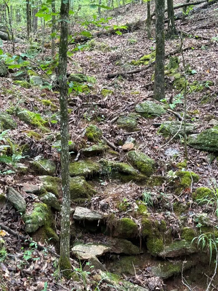 101 and 0 Indian Mountain Trail, Hamilton, GA 31811 - #3