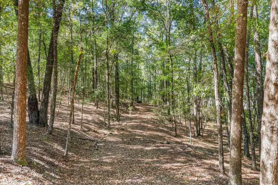 642 Nuckols Road, Seale, AL 36875 - #3