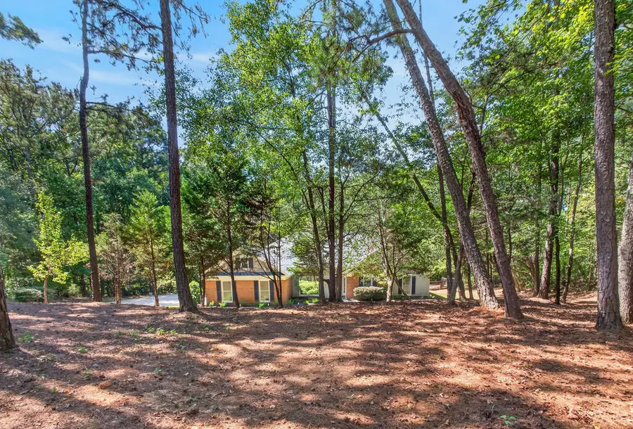 387 Rocky Shoals Drive, Midland, GA 31820 - #2
