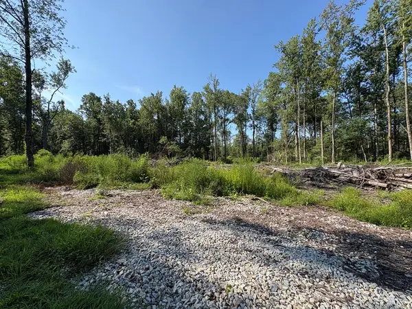 0 Lee Road 0300, SMITHS STATION, AL 36877