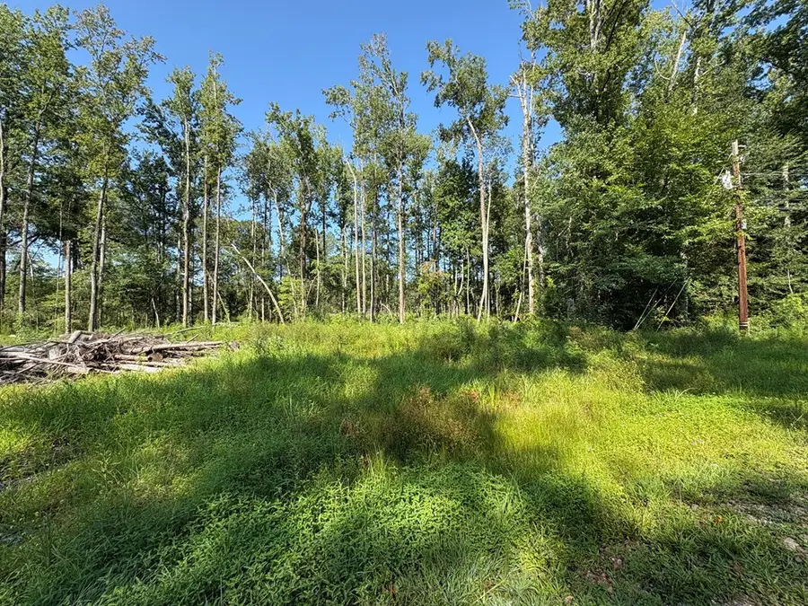 0 Lee Road 0300, Smiths Station, AL 36877 - #2