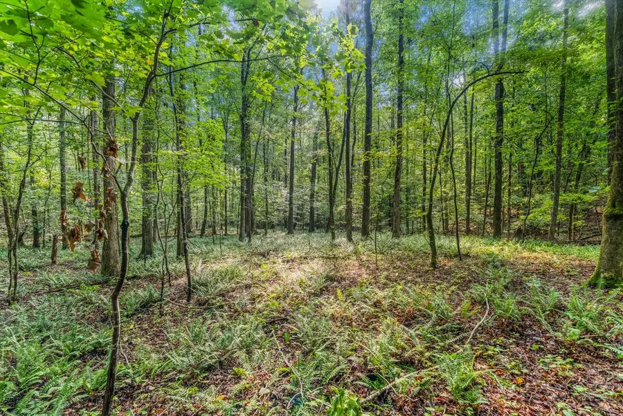 0 Roger Copeland Road, Hamilton, GA 31811 - #3