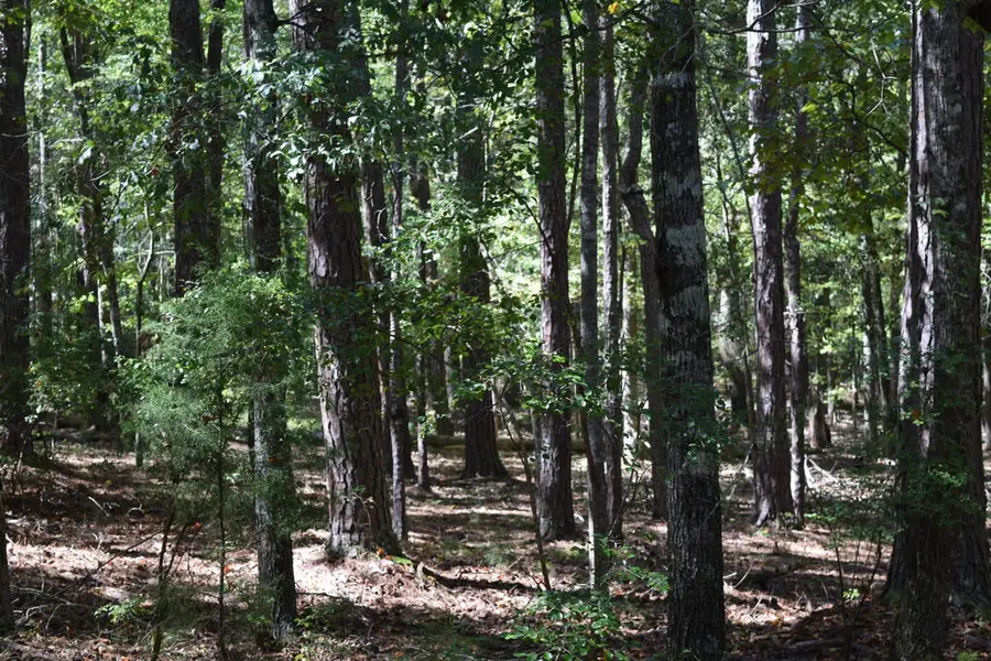0 Red Oak Lane, Pine Mountain, GA 31822 - #2