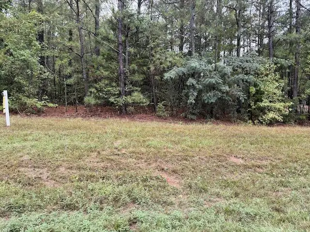 0 Chipley Highway, Pine Mountain, GA 31822 - #1