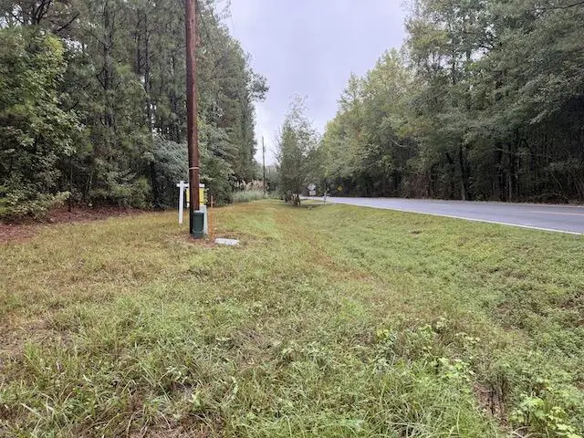 0 Chipley Highway, Pine Mountain, GA 31822 - #2