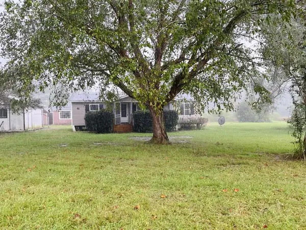 61 Amber Drive, RAY CITY, GA 31645