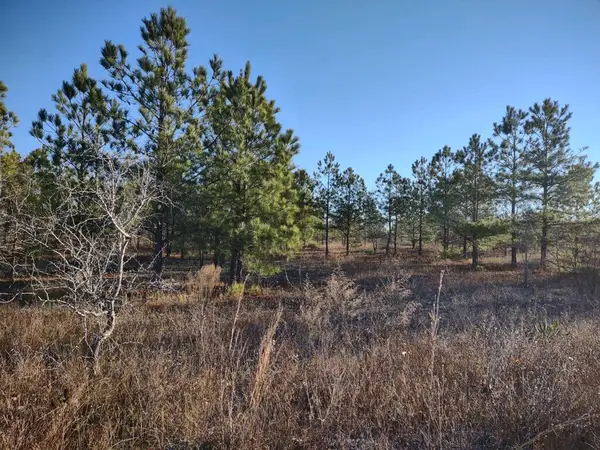 00 Jordan Road, BUENA VISTA, GA 31803
