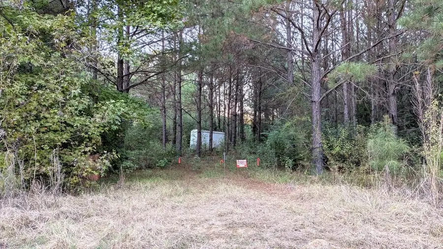 146 Seaboard Lane, Seale, AL 36875 - #2