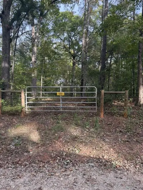 0 Louie Copeland Road, Shiloh, GA 31826 - #1