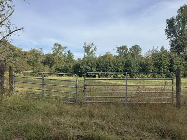 0 Louie Copeland Road, Shiloh, GA 31826 - #2