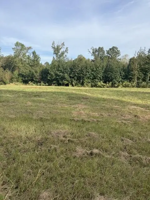 0 Louie Copeland Road, Shiloh, GA 31826 - #3