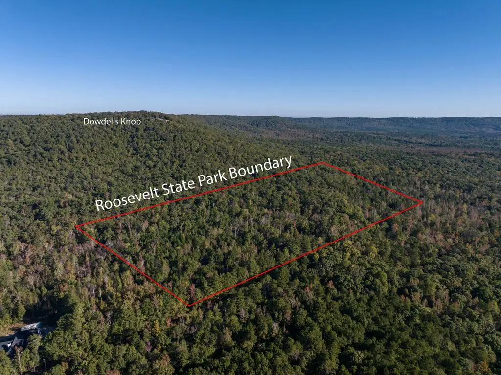 Tract One Trammell Mill Road, Shiloh, GA 31826 - #1
