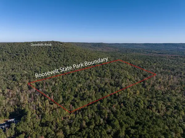 Tract One Trammell Mill Road, SHILOH, GA 31826