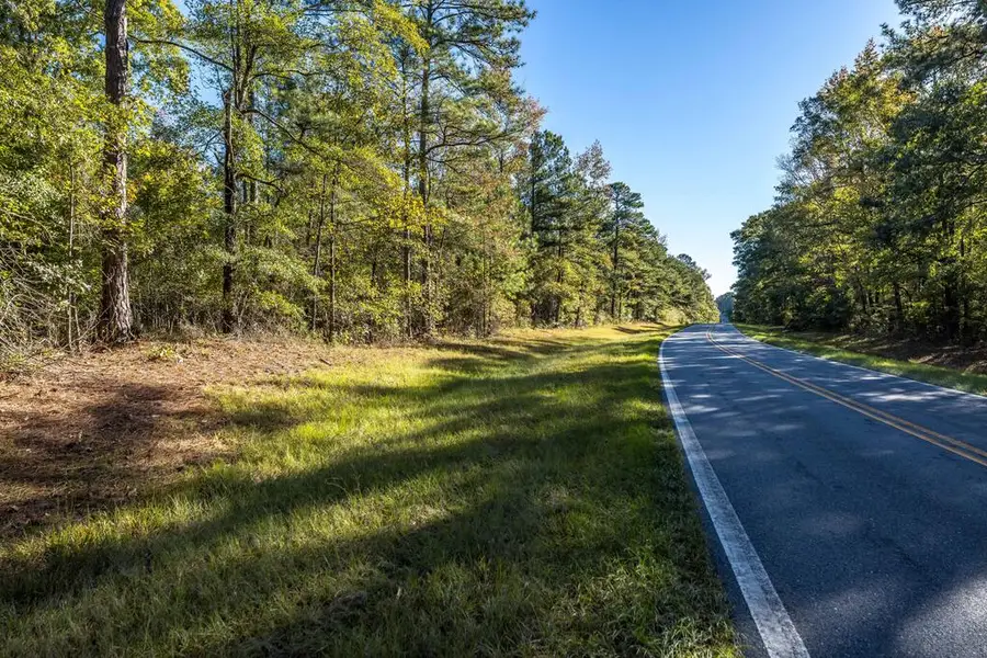Tract One Trammell Mill Road, Shiloh, GA 31826 - #2