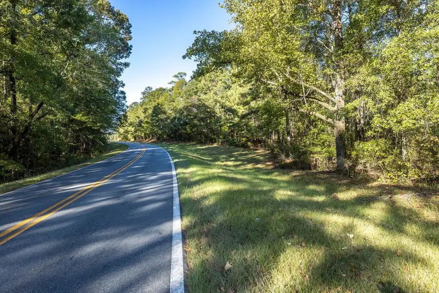 Tract One Trammell Mill Road, Shiloh, GA 31826 - #3