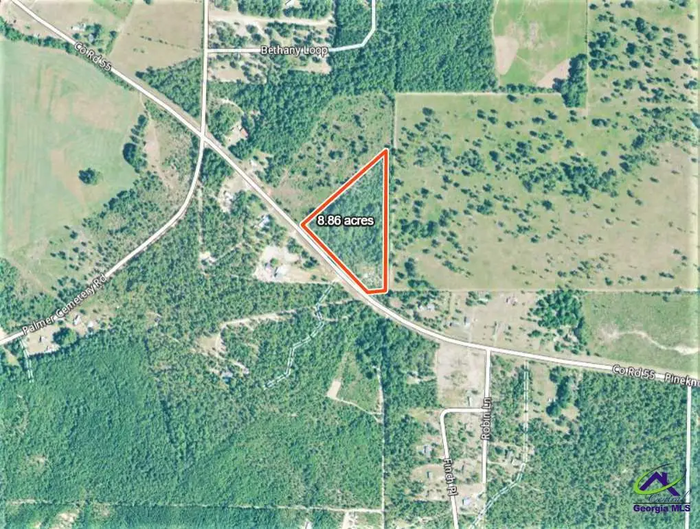 0 Pine Knot Road, Mauk, GA 31058 - Image #1