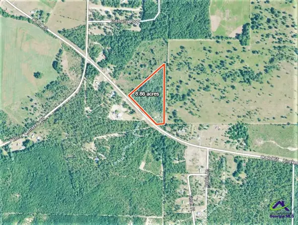 0 Pine Knot Road, Mauk, GA 31058