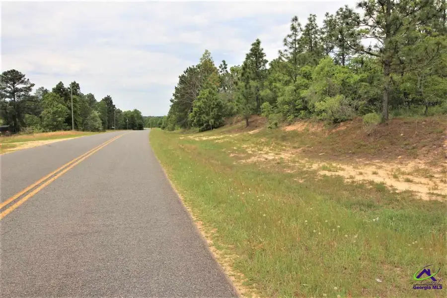 0 Pine Knot Road, Mauk, GA 31058 - Image #2