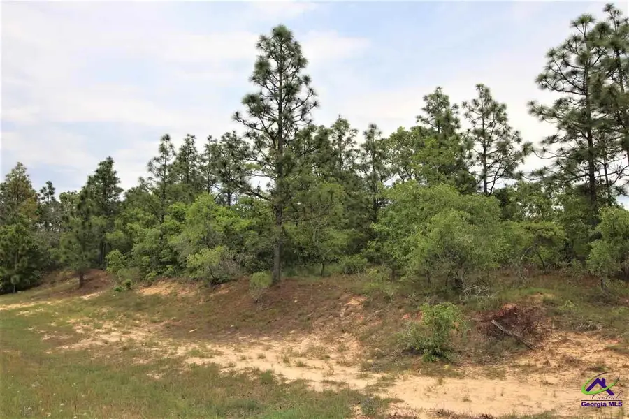 0 Pine Knot Road, Mauk, GA 31058 - Image #3