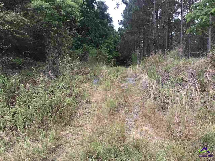 000 Brady Road, Cordele, GA 31015 - Image #2