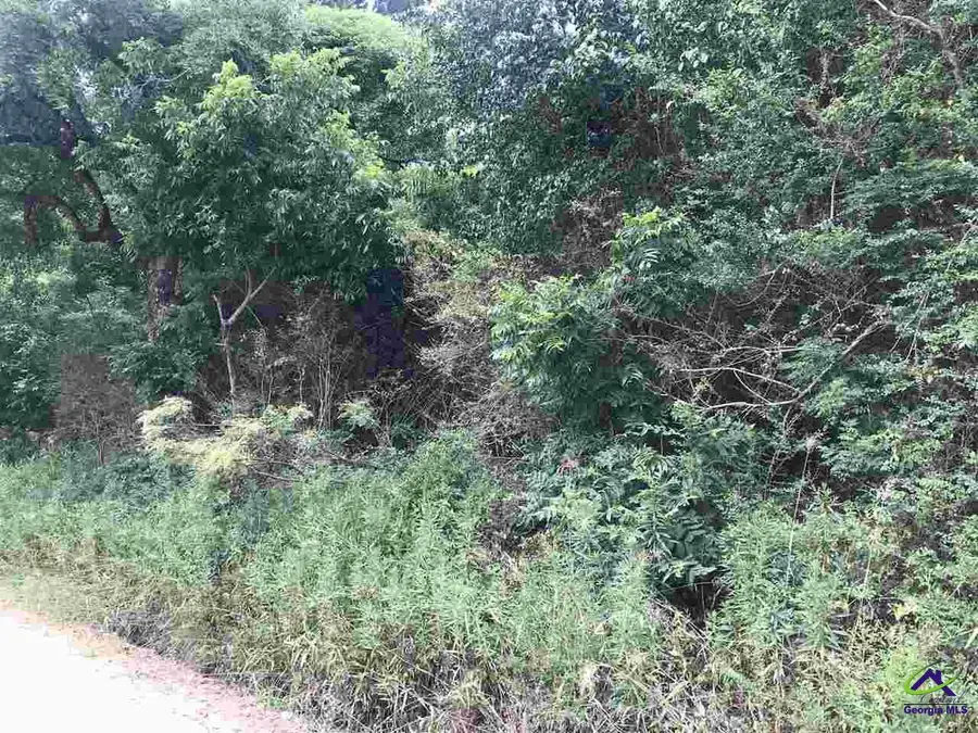 000 Brady Road, Cordele, GA 31015 - Image #3