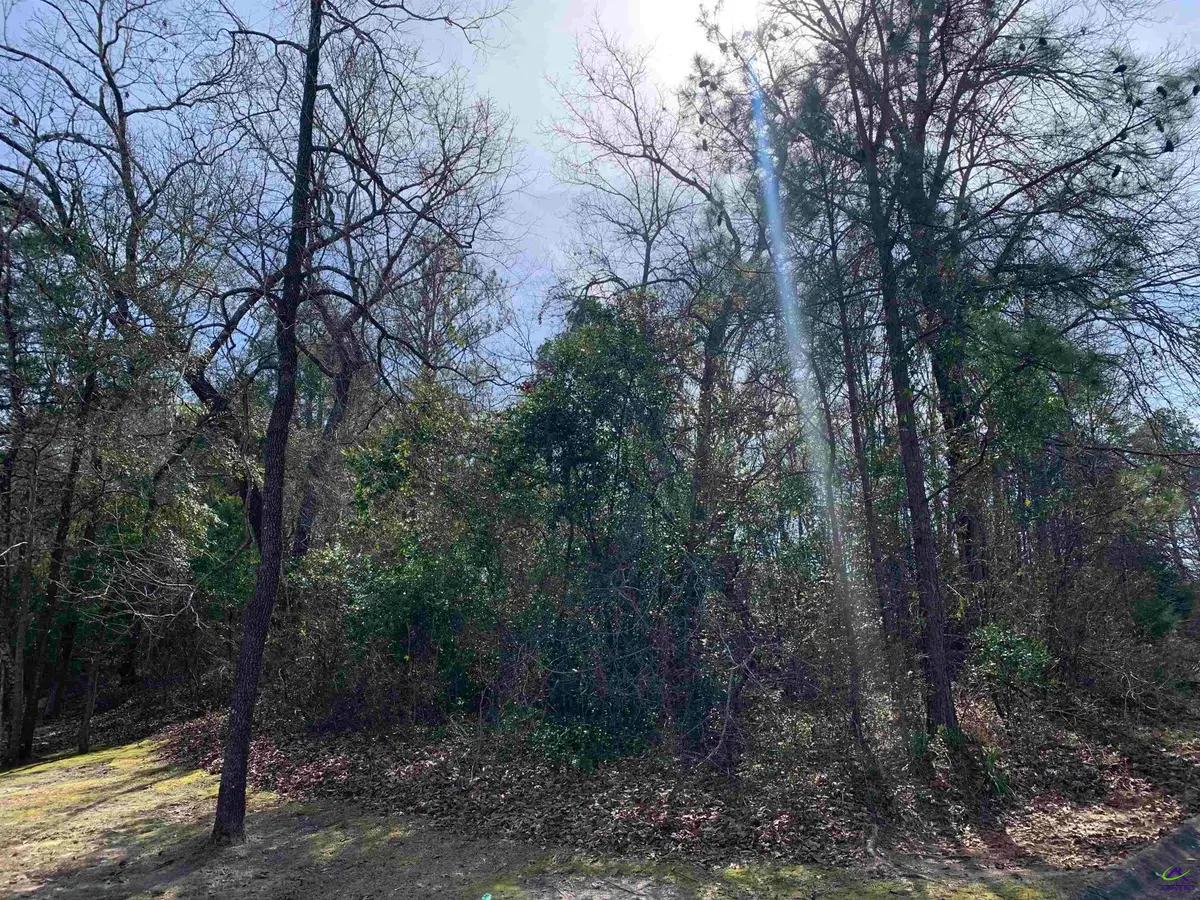 217 Blue Ridge Lane, Warner Robins, GA 31088 - #1