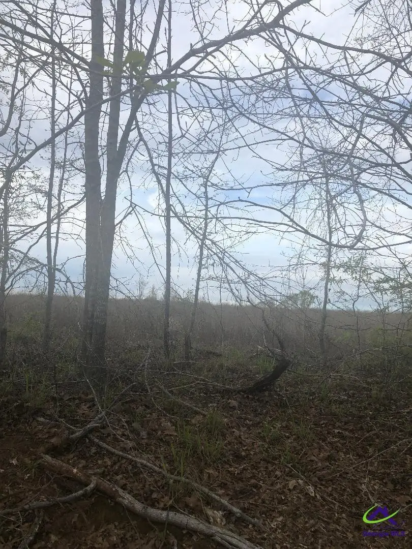 V/L Crabapple Drive, Hawkinsville, GA 31036 - Image #1