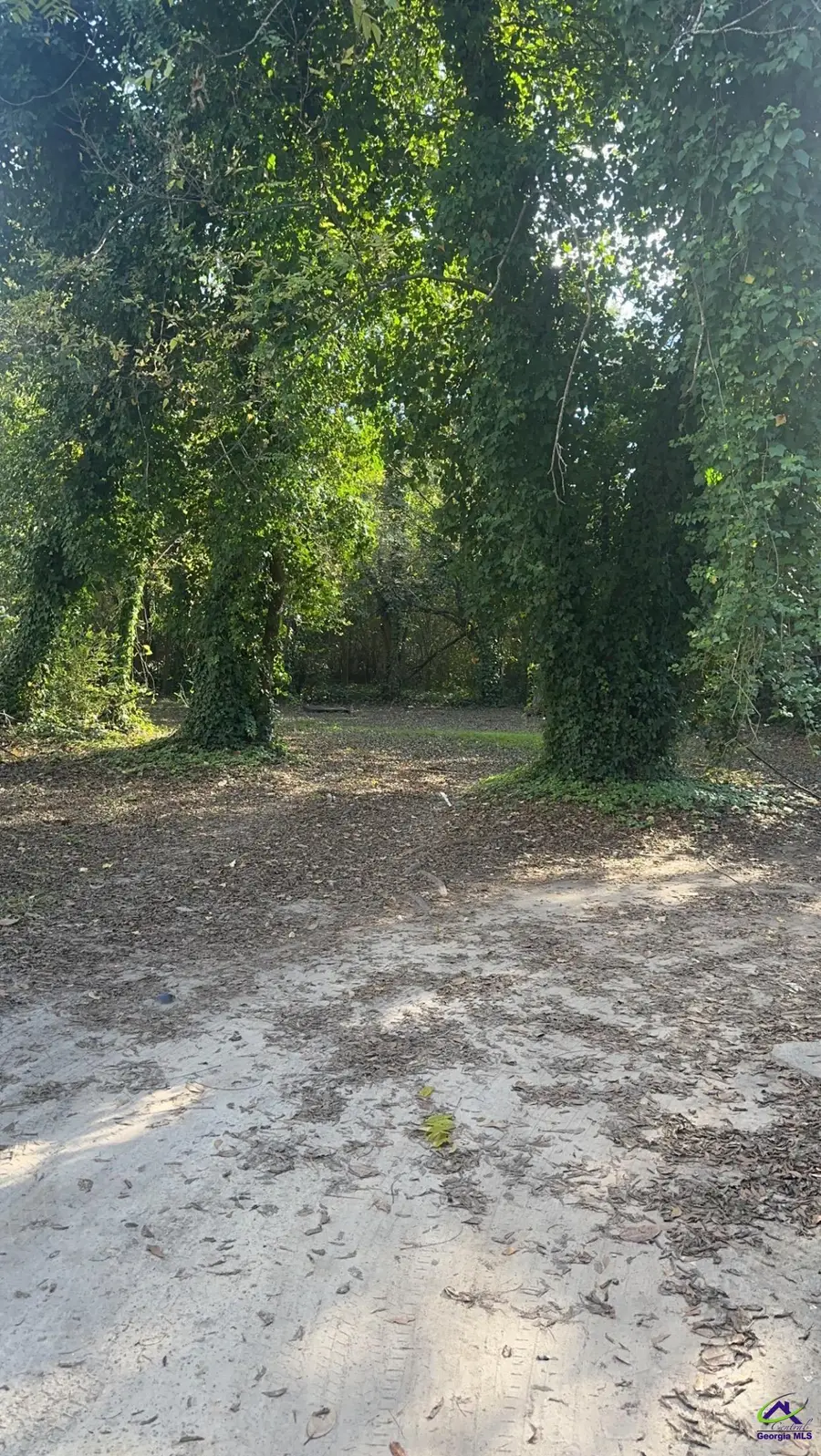 1196 Harley Street, Macon, GA 31206 - Image #3